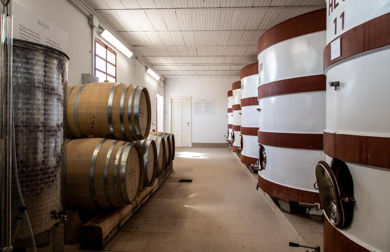 Monna Caterina Wine Resort Vinci Extérieur photo